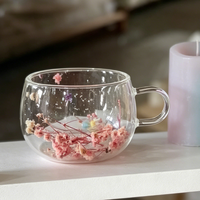 Tasse à double paroi en verre borosilicate transparent, résistante à la chaleur, pour jus, simple et isolante, avec fleurs séchées
