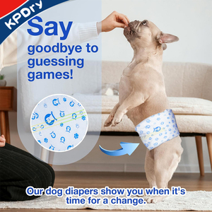 Pañal desechable <span class=keywords><strong>para</strong></span> mascotas, pañales <span class=keywords><strong>para</strong></span> <span class=keywords><strong>perros</strong></span> y hombres - Product Image 6
