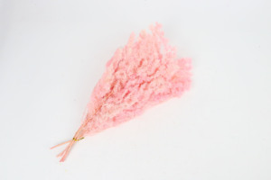 Ramo de flores de helecho <span class=keywords><strong>Ming</strong></span> preservado de alta calidad para ocasiones de decoración del hogar como Pascua Navidad Halloween Back School - Product Image 5