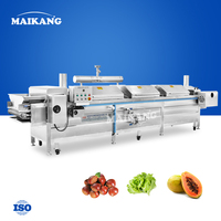 Cuiseur à riz multifonctionnel à vapeur, machine à blanchir les fruits à bande transporteuse en acier inoxydable pour mangues, à vendre