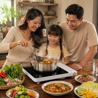 Table de cuisson à induction haute puissance 2000W, plaque chauffante électrique portable avec verrouillage enfant et minuterie pour distributeur d'appareils de cuisine