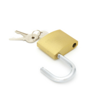 Serrure en fer de haute qualité de Chine Meilleur prix casier de peinture de couleur laiton cadenas de coulée en fer massif taille 70mm avec Type à clé