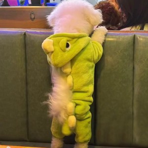 Combinaison chaude en flanelle style dinosaure de dessin animé pour chiots et chats, automne-hiver, vente en gros - Product Image 3