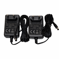 Adaptateur d'alimentation CE Niveau VI Classe II LPS 24V 1A 25W, prise EU, connecteur DC positif central, entrée 100-240V