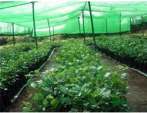 Zonnescherm Netto Plant Mesh Schaduw Doek Netting Netto Rolls Verpakking Netto Roll Voor Landbouw Producten
