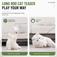 Vente en gros NP803 Chine Baguette interactive pour chat à ventouse, avec fil d'acier flexible détachable et plume pour jeu autonome, pour chats d'intérieur