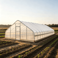 Serre de jardin moderne 25x60 pieds, tente de culture préfabriquée en acier galvanisé, alternative imperméable pour la culture à domicile dans la cour, facilement assemblable