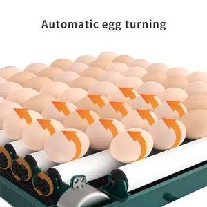 Incubateur automatique d'œufs de volaille, 90%, 36 œufs