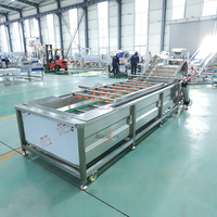 Avocado Wassen En Sorteren Machine Bubble Wasmachine Groente En Fruit Reiniging Wassen Verwerkingslijn