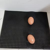 Coussinets de nidification en PVC pour poulailler, pour poules pondeuses