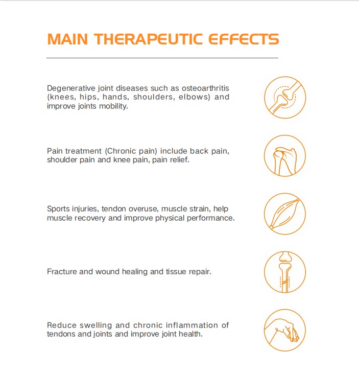 2 in 1 High intensity painrelief pulsed electromagnetic emtt physiotherapy magnetotherapy equipment magnetic therapy dev
