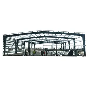 Yaşam için depo inşaatı yapısal çatı tavuk evi çelik yapı Hangar