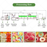 Suikercristal Speciaal Gevormde Lolly Zachte Harde Gummy Suikersnoepjes Maken Machine 200.00-1000.00 Toffees Giet Lijn