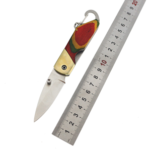 Cuchillo de Bolsillo Multiusos de Acero Inoxidable de Alta Calidad con Mango de Madera y Llavero para Camping - Product Image 6
