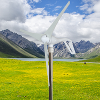 Usine en gros et au détail 3/5 lames 1000W 2000W toit petite éolienne générateur d'énergie gratuite