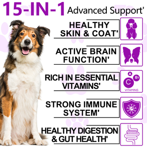 Complément alimentaire multivitaminé pour animaux de compagnie 15 en 1, sous forme de bouchées molles, pour soutenir la santé des hanches et des articulations des chiens - Product Image 4