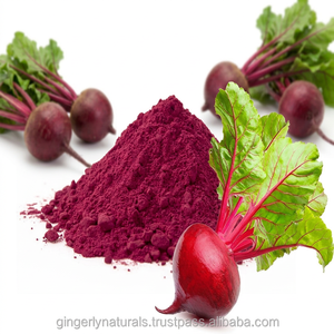 Fournisseur en gros de poudre de betterave en provenance d'Inde - Product Image 1