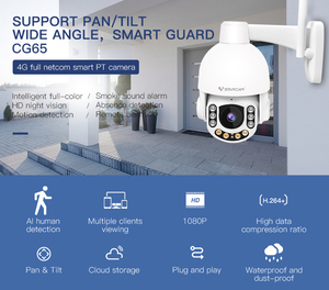 CG65 4G Đầy Đủ Netcom 6 IR HD Tầm Nhìn Ban Đêm Với IP66 1080P Ngoài Trời PT IP <span class=keywords><strong>Camera</strong></span> 2.0 MP IP Speed Dome Ngoài Trời Máy Ảnh - Product Image 4