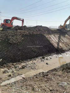 Grille de pavage en géocell HDPE en nid d'abeille extensible pour système de lutte contre l'érosion - Product Image 5