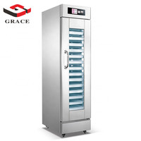 Machine d'épreuve de pâte à pain de chambre de fermentation de boulangerie commerciale de 16 plateaux avec le jet