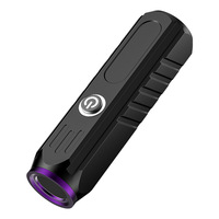 Lampe torche UV multifonctionnelle en alliage d'aluminium RB-576 IP65 pour l'évaluation des pierres précieuses de jade, la détection de fluorescence, le tabac et l'alcool
