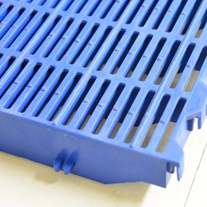 Durable <b>Plastic</b> Flooring Farrowing <b>Crate</b> Slats for Pig - Product Image 4