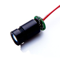Module de tête laser personnalisable 650 nm 100 MW à ligne rouge
