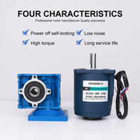 Moteur électrique AC 220V 40W avec réducteur à vis sans fin NMRV30, monophasé, autobloquant, petit moteur électrique réversible