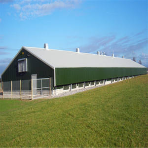 Bâtiment de ferme avicole moderne <span class=keywords><strong>en</strong></span> structure préfabriquée <span class=keywords><strong>en</strong></span> acier, conception d'atelier de ferme avicole, <span class=keywords><strong>construction</strong></span> de cadre <span class=keywords><strong>en</strong></span> acier bon marché à vendre - Product Image 5