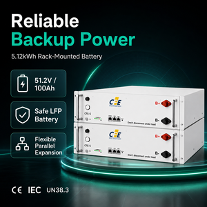 Batería Híbrida para Red Eléctrica <span class=keywords><strong>CFE</strong></span> 51.2V 100Ah LiFePO4, 5kWh, ESS Doméstico, 6000 Ciclos, Modular, Apilable, Comunicación CAN para Sistema Solar - Product Image 4