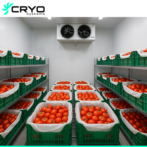 Táo Lê Berry nho Kiwi Cherry kiểm soát không khí lưu trữ phòng lạnh ca lưu trữ cho trái cây và rau quả - Product Image 4