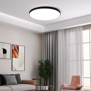 Lámpara de 3 pruebas Cuerpo Control remoto Atenuación de color Luces de techo ajustables para el techo del hogar/Luces de techo/Luz de techo LED - Product Image 4
