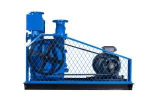 مضخة تفريغ لأنظمة مكثفات الأكسجين الطبية ومولدات النيتروجين بتقنية PSA مضخة تفريغ حلقية مائية 2BE - Product Image 6