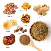 Mélange d'extraits de champignons biologiques, poudre végétale pure, mélanges de plantes de haute qualité, champignons 10%-60% polysaccharides