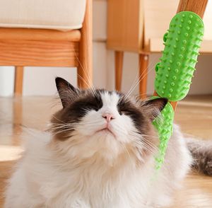 Doe Pet Cat Scratch chitch Board Rub solletico artefatto viso in Silicone sostenibile spazzola auto-toelettatore artefatto PP Rub strumento - Product Image 1
