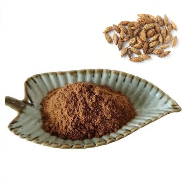 Private Label CTM Cang Er Zi Xanthium Sibiricum Fruit Extract Powder With Best Price