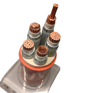 สายไฟฟ้าหุ้มฉนวนแร่ธาตุอินทรีย์แกนทอ<span class=keywords><strong>ง</strong></span>แด<span class=keywords><strong>ง</strong></span> หุ้มด้วยทอ<span class=keywords><strong>ง</strong></span>แด<span class=keywords><strong>ง</strong></span> ทนไฟ แบบยืดหยุ่น NG-A 0.6/1KV - Product Image 6