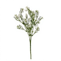 Vase à fleurs en céramique côtelée blanche, vase minimaliste en porcelaine, décoration d'intérieur, décoration de table de mariage