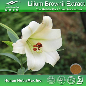 Poudre d'extrait d'ampoule de lys d'extrait de <span class=keywords><strong>Lilium</strong></span> <span class=keywords><strong>Brownii</strong></span>.F d'ingrédient cru 4:1 ~ 20:1 - Product Image 6
