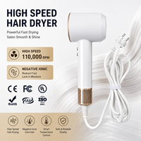 Sèche-cheveux portable compact de voyage à séchage ultra-rapide, 110 000 tr/min, haute vitesse, ionique négatif, moteur électrique sans balais