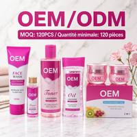 NOUVEAU Ensemble de soins du visage WholesaleALPHA ARBUTIN 3 PLUS avec collagène pour éclaircir et lutter contre le vieillissement pour les peaux noires 4 en 1