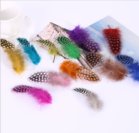 Teint naturel 50pc ploybag plume de guinée pour bricolage artisanat cheveux Costume accessoire de pêche mouche attachant ornement rêve frange décor