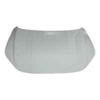 Haishida Factory Vente en gros de capots de moteur de voiture, capots, scoops, protections, capots pour BYD Song Plus