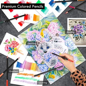 Nguồn Cung Cấp Nghệ Thuật Vẽ Và Phác Thảo Màu Bút Chì Thiết Lập 96/42Pcs Graphite Than Chuyên Nghiệp Nghệ Sĩ Bút Chì Kit Quà Tặng Cho Bé - Product Image 6