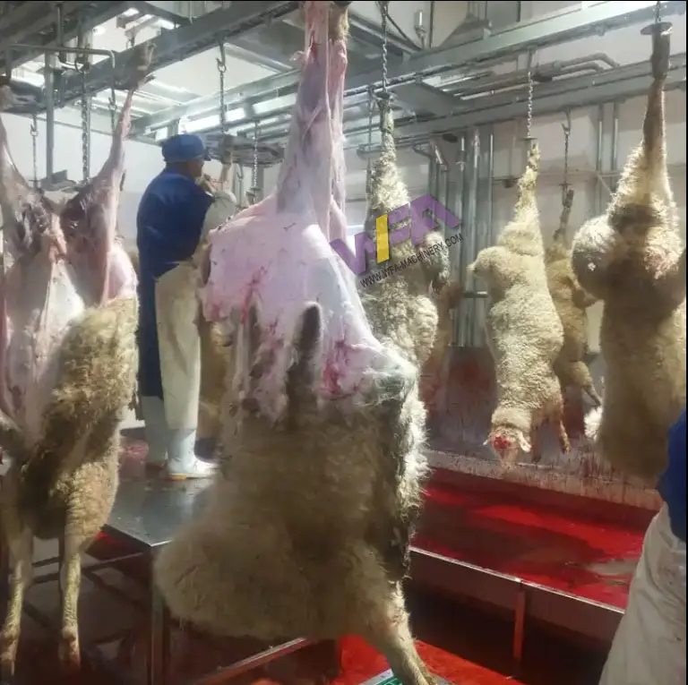 Proyecto llave en mano Matadero para cabras Máquinas de carnicero Halal Línea de procesamiento de cordero con equipo de matanza