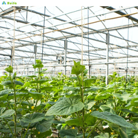 Structure de serre en acier galvanisé, tunnel agricole multi-voûtes, grande couverture en film monocouche, culture de légumes et de tomates
