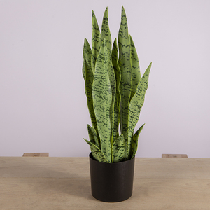 Plantes artificielles <span class=keywords><strong>de</strong></span> 50 cm en plastique, type 'Mother-in-Law's Tongue', pour décoration intérieure - Product Image 3