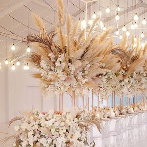 Grandi decorazioni in <span class=keywords><strong>erba</strong></span> della pampa G2, fiori secchi per decorazioni nuziali, fiori immortali, accessori per servizi fotografici, grandi steli di <span class=keywords><strong>erba</strong></span> della pampa - Product Image 5
