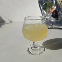 Automatische appel sap productielijn, sapcentrifuge, complete fruitverwerkingsinstallatie voor helder appel sap concentraat