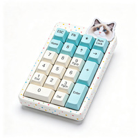 Keypad Numerik Mini Portabel Warna Pastel, Numpad Mekanik Ringkas, Nirkabel BT USB-C, Tombol Kustom, Ringan, Untuk Penggunaan Desktop